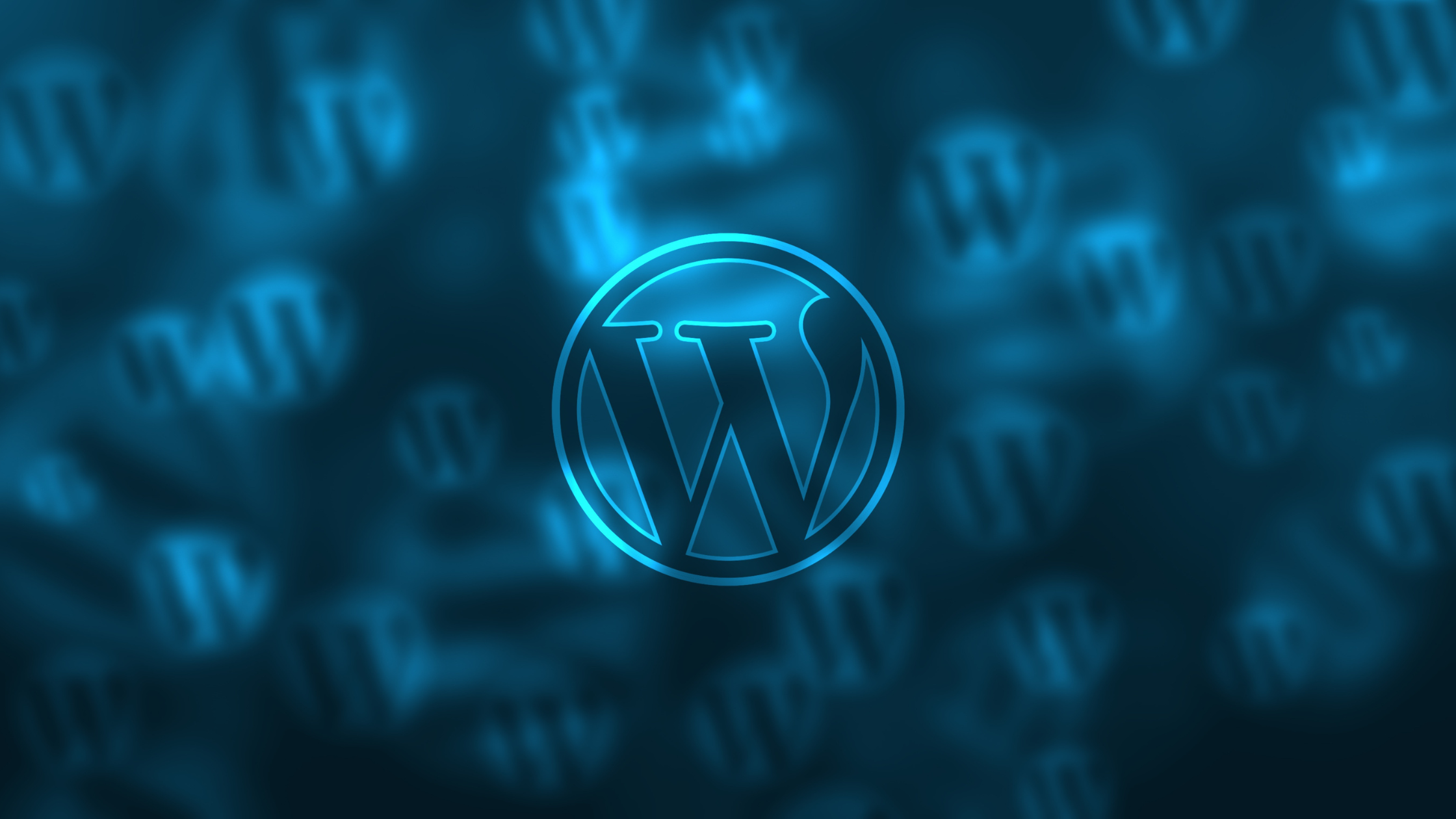 5 Reasons to use WordPress for your business website
